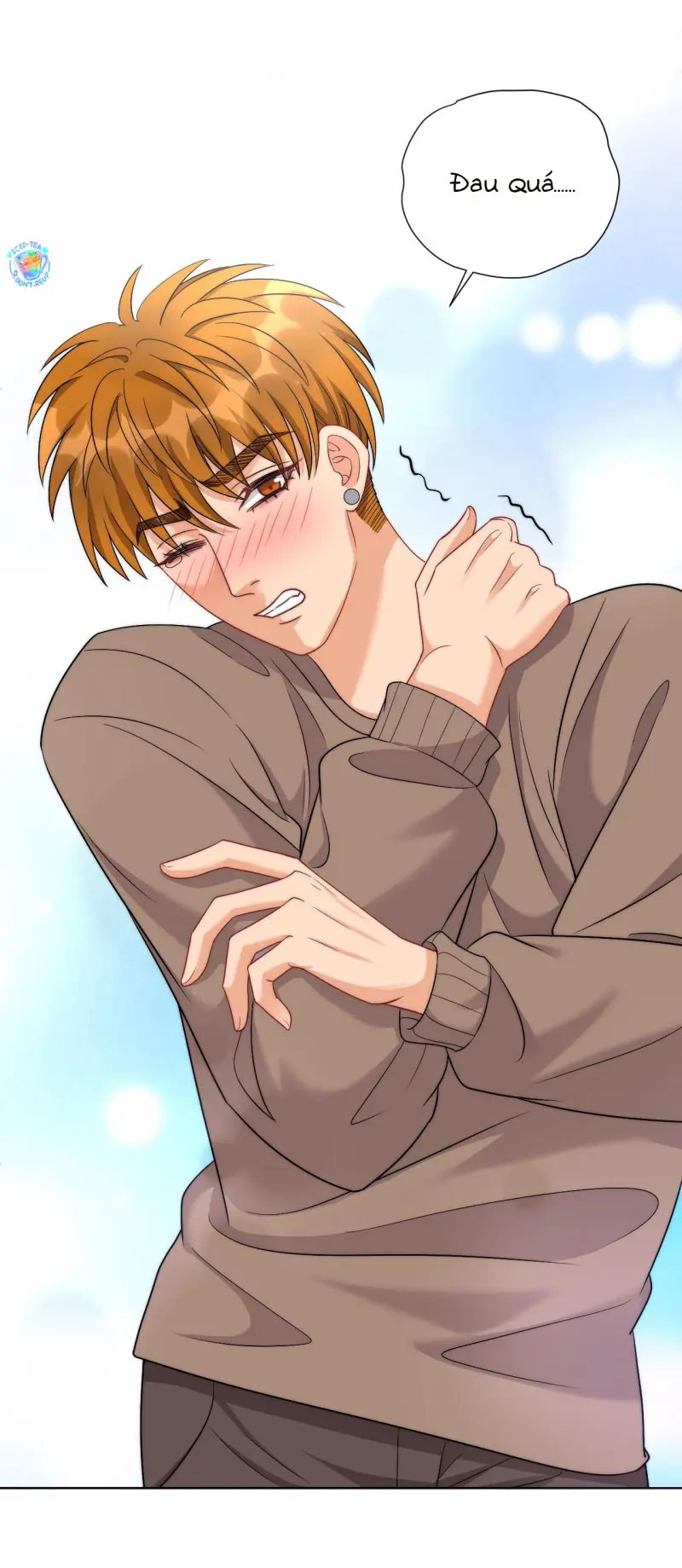 Ký túc xá nam phòng 303 Chapter 260 Trang 6