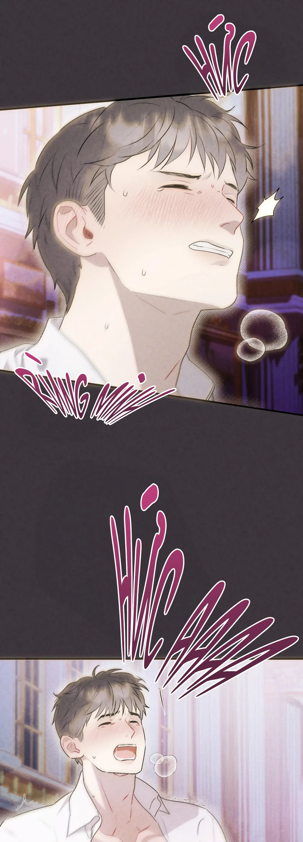 La Pirosa trong bảo tàng Chapter 2 Trang 3