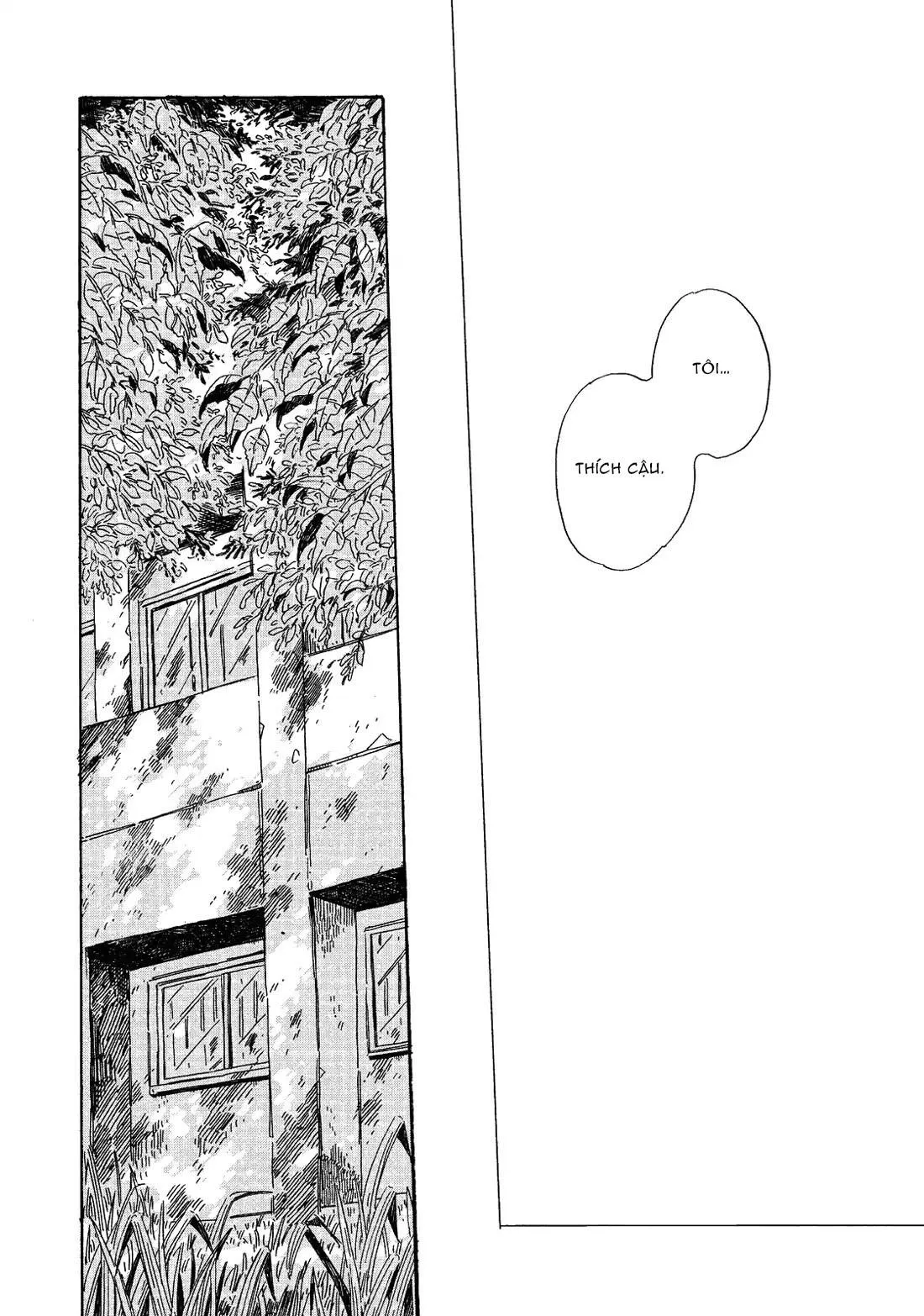 Vũ Điệu Của Ánh Sáng Chapter 6 Trang 28