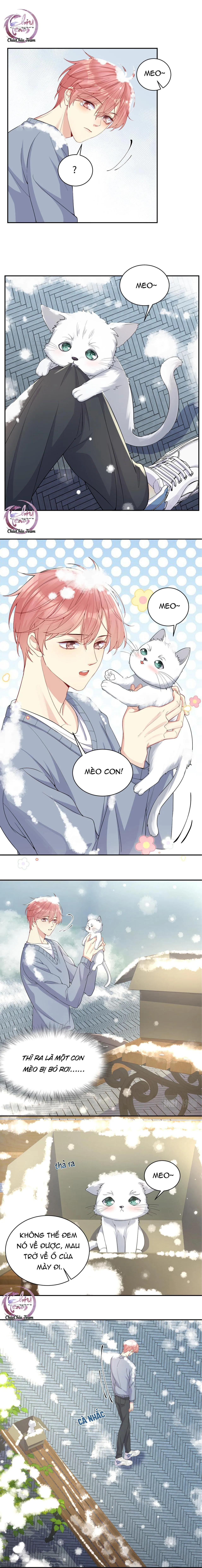 Lại Bị Bạn Trai Cũ Nhắm Trúng Rồi! Chapter 8 Trang 5