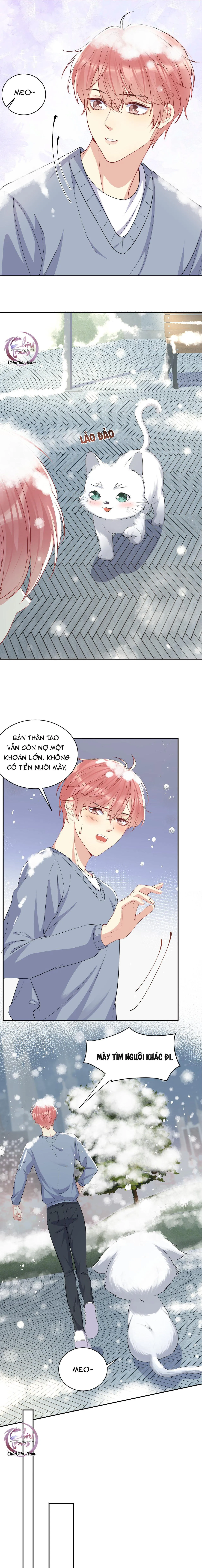 Lại Bị Bạn Trai Cũ Nhắm Trúng Rồi! Chapter 8 Trang 6