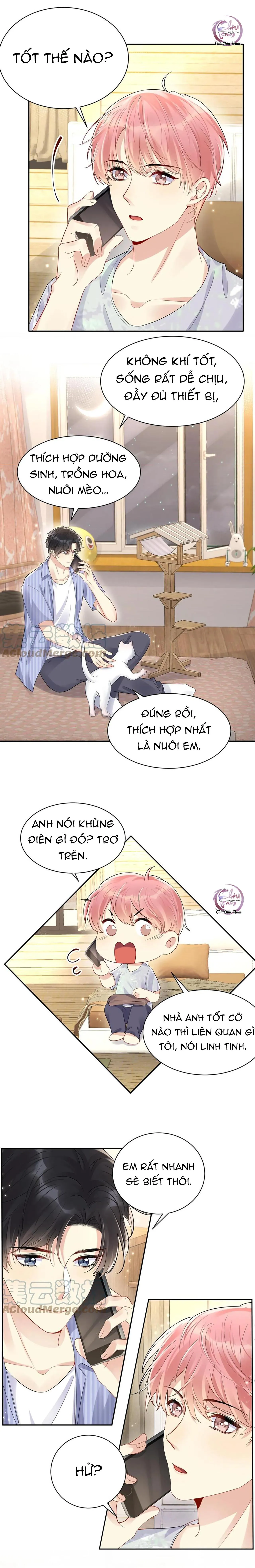 Lại Bị Bạn Trai Cũ Nhắm Trúng Rồi! Chapter 62 Trang 9