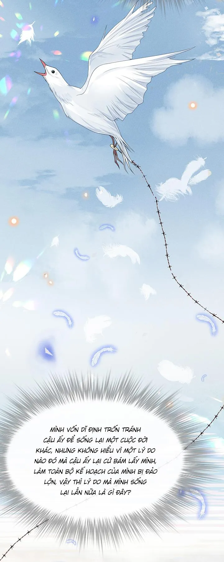 Lai sinh bất kiến Chapter 39 Trang 27