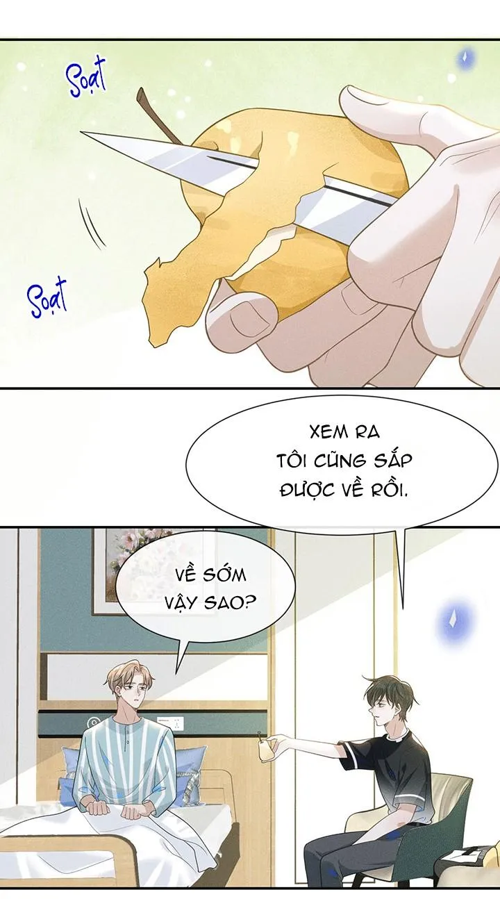 Lai sinh bất kiến Chapter 44 Trang 12