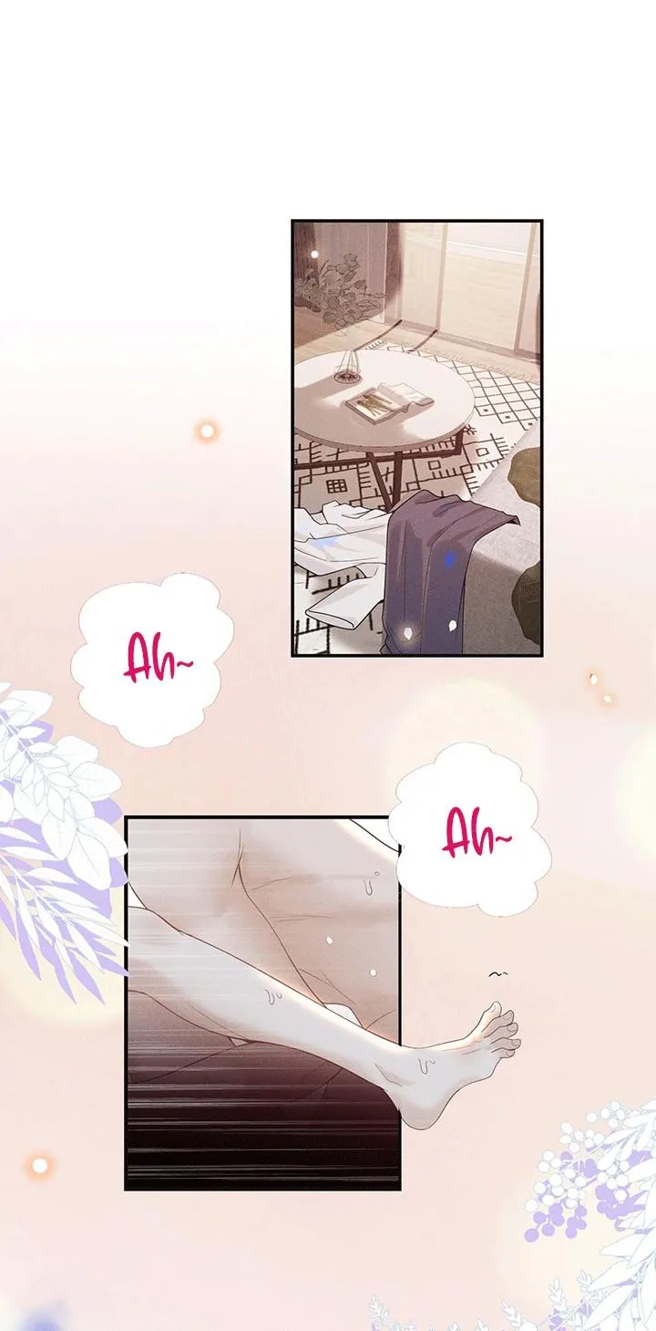 Lai sinh bất kiến Chapter 46 Trang 12