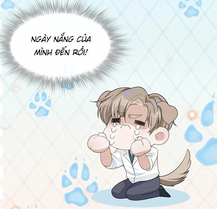 Lai sinh bất kiến Chapter 48 Trang 11