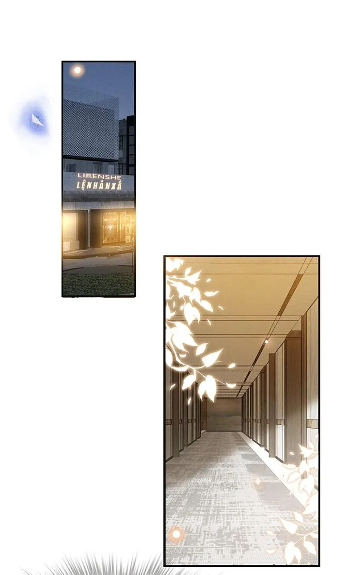 Lai sinh bất kiến Chapter 48 Trang 14