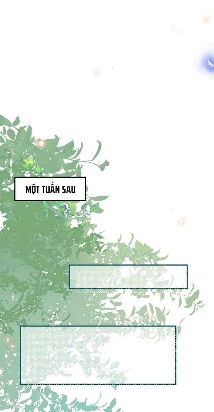 Lai sinh bất kiến Chapter 50 Trang 16