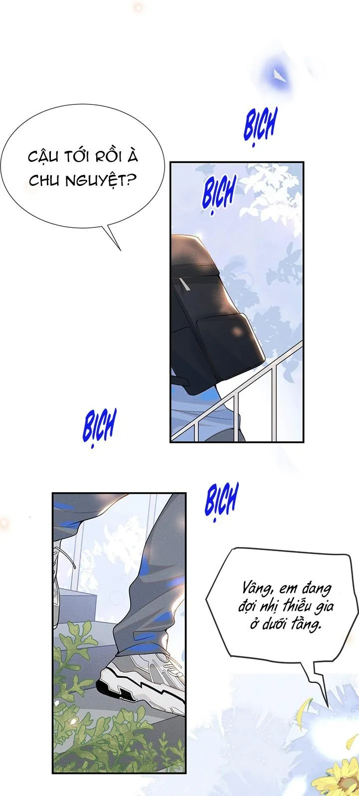 Lai sinh bất kiến Chapter 51 Trang 3