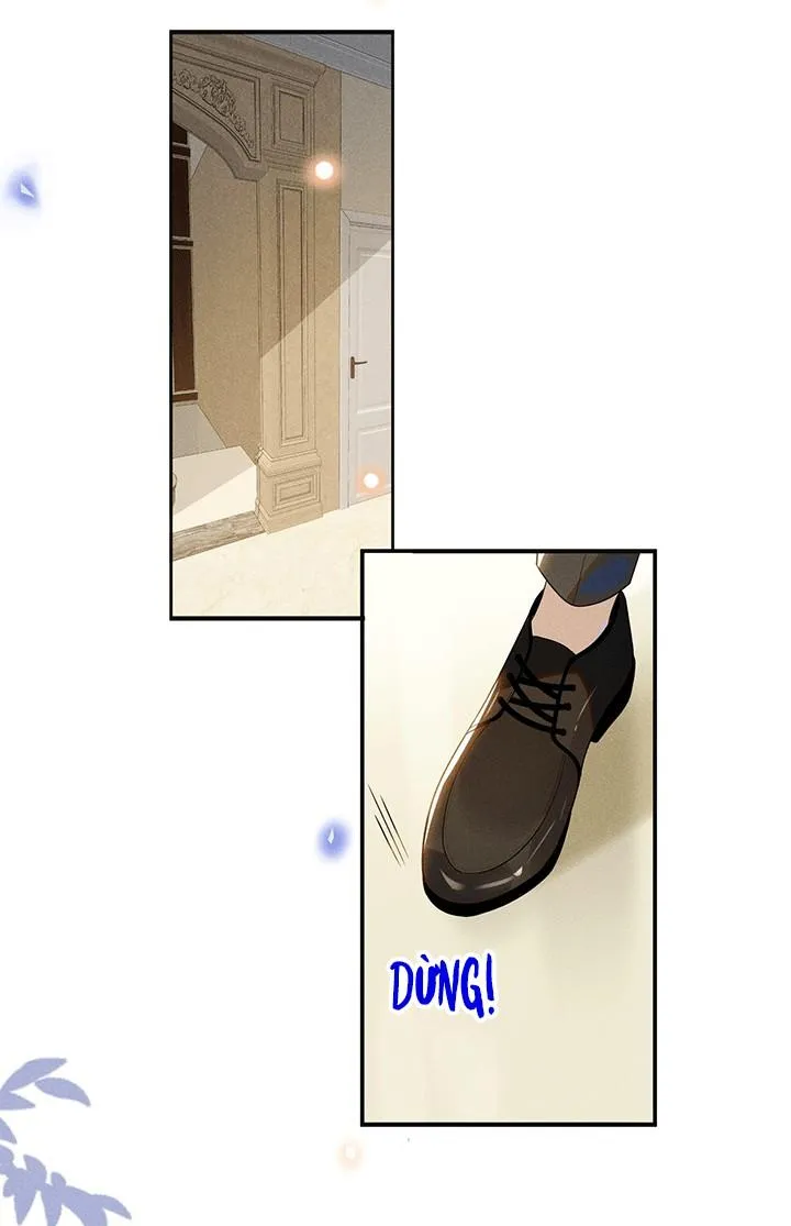 Lai sinh bất kiến Chapter 53 Trang 11