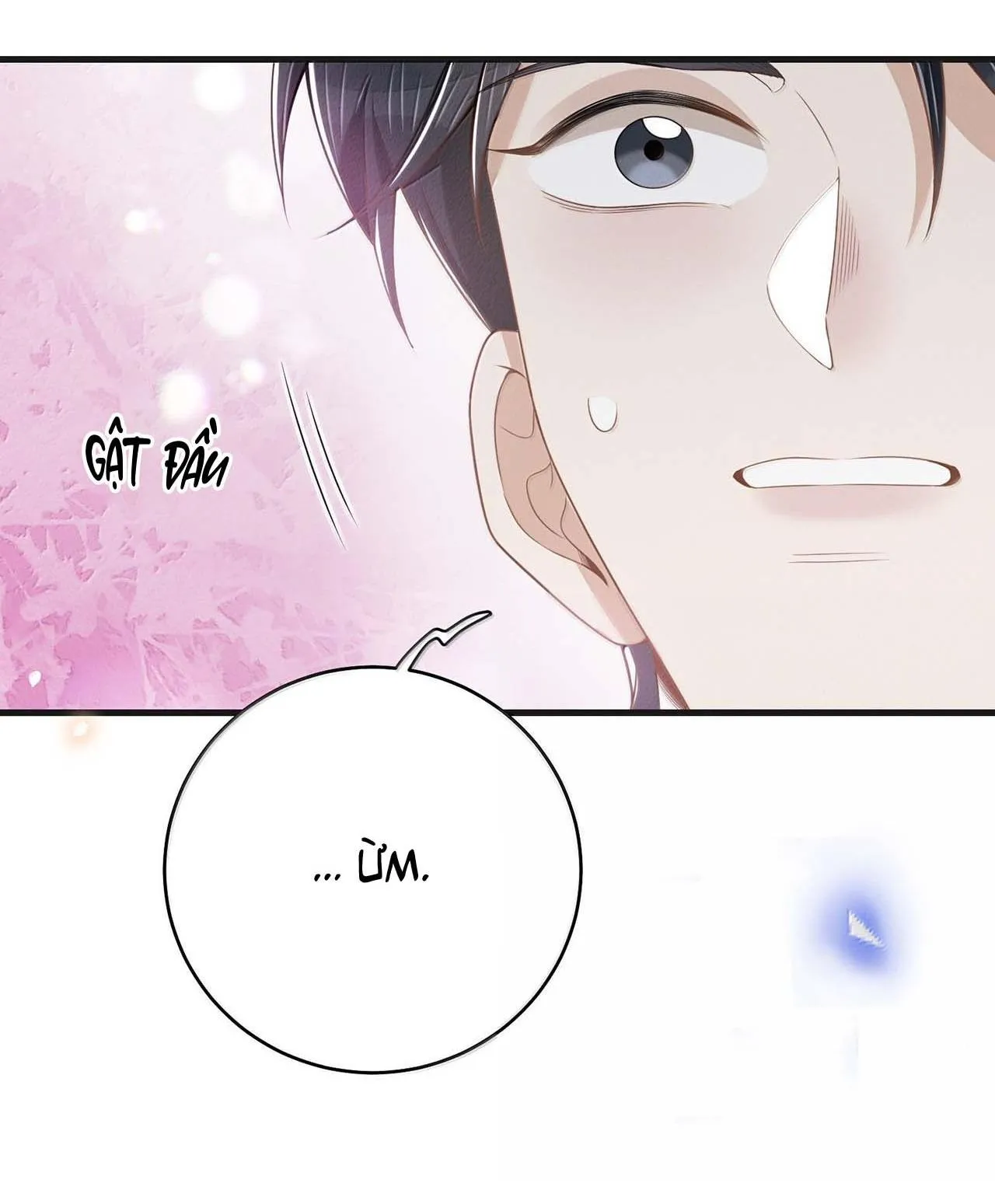 Lai sinh bất kiến Chapter 147 Trang 17