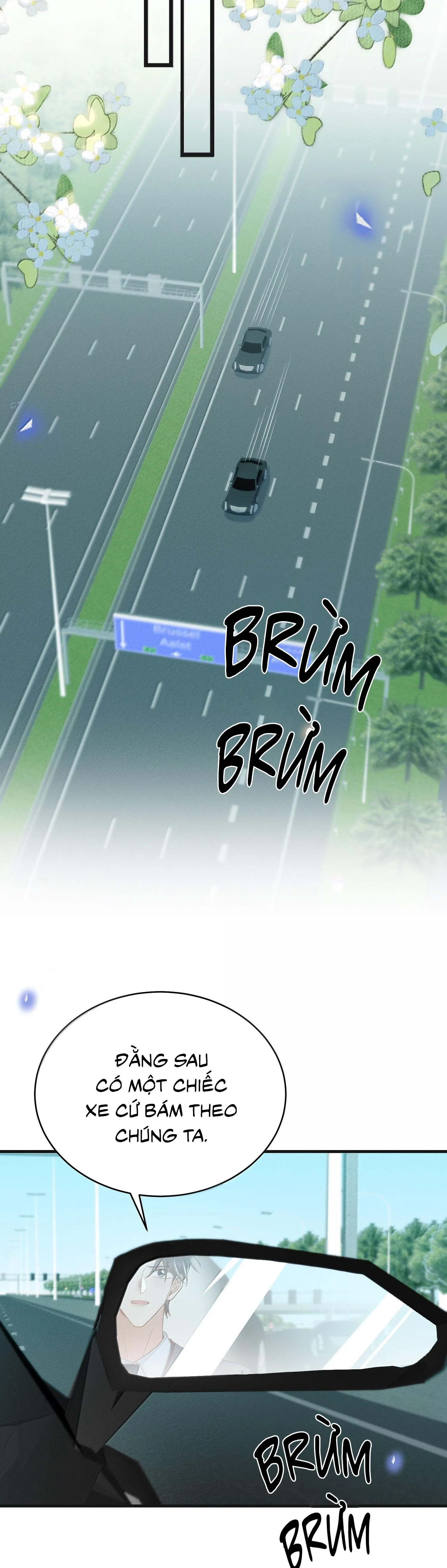 Lai sinh bất kiến Chapter 151 Trang 13