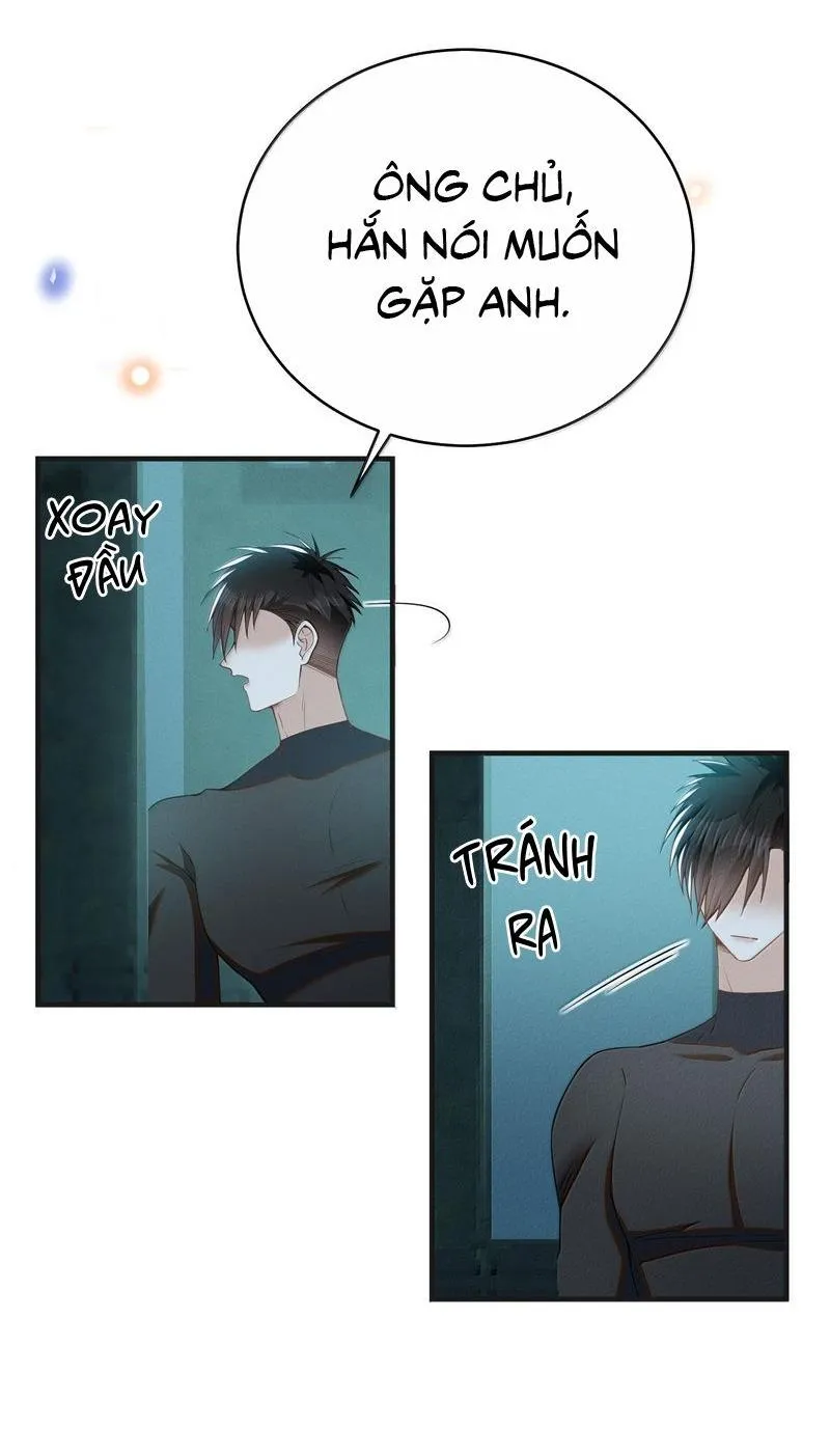 Lai sinh bất kiến Chapter 157 Trang 12