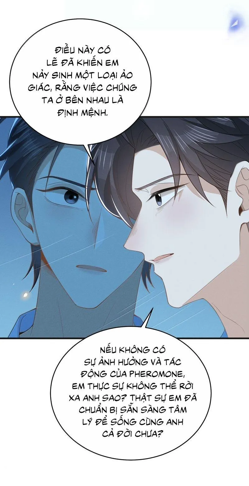 Lai sinh bất kiến Chapter 159 Trang 18