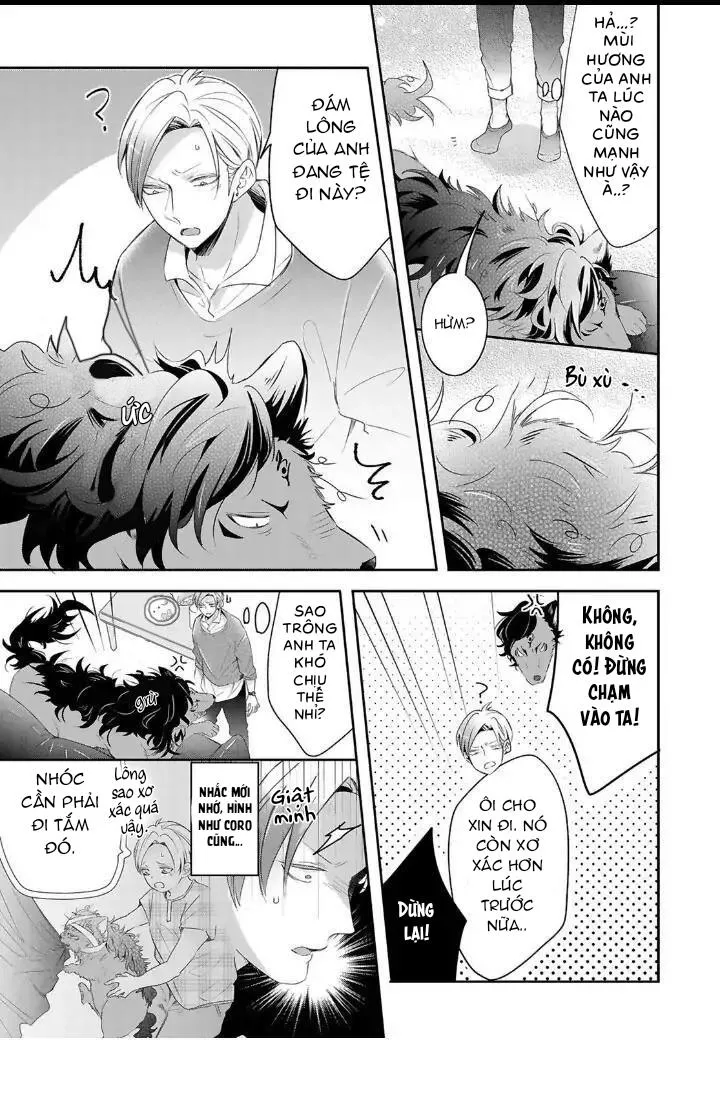 Mang Thai Với Dã Thú Chapter 14 Trang 8