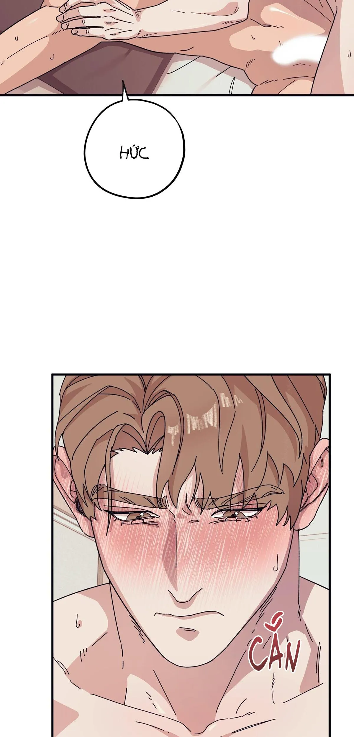 Làm dâu nhà tài phiệt họ Kang Chapter 45 Trang 3