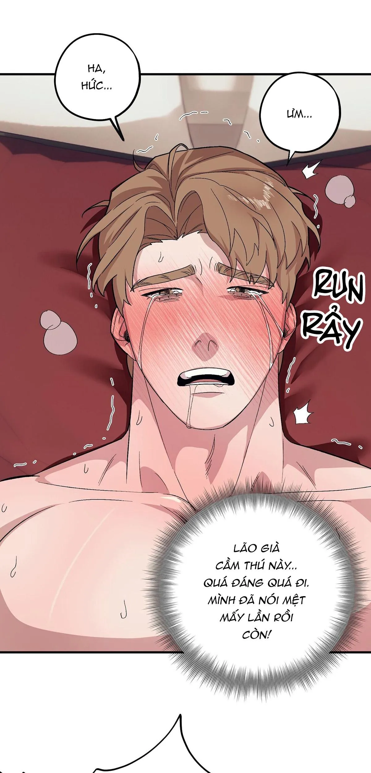 Làm dâu nhà tài phiệt họ Kang Chapter 53 Trang 59