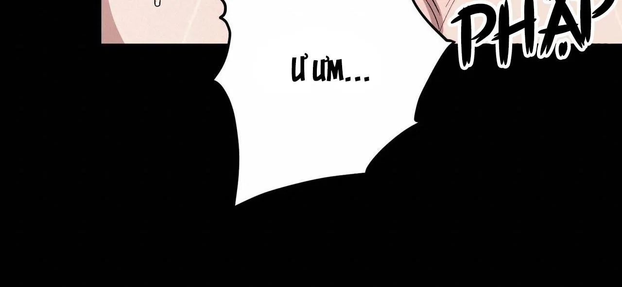 Làm dâu nhà tài phiệt họ Kang Chapter 58 Trang 97