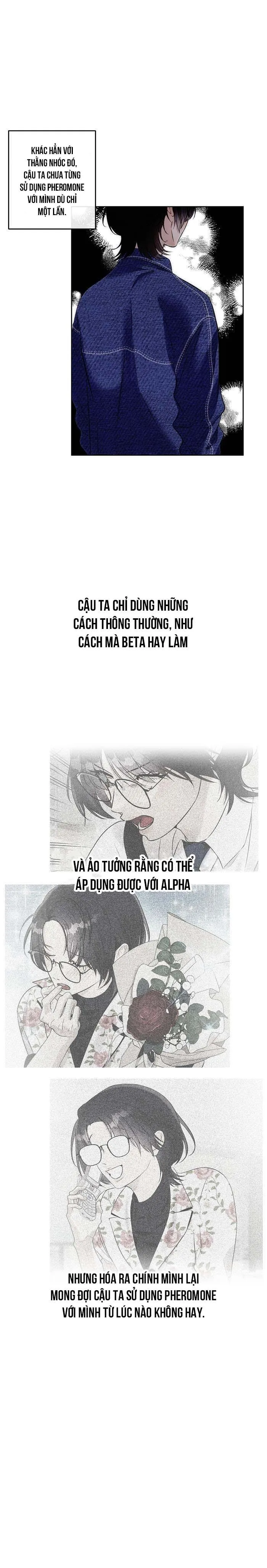 Làm sao đây? Tôi gặp phải quest công lược tổng tài tra nam rồi Chapter 16 Trang 17