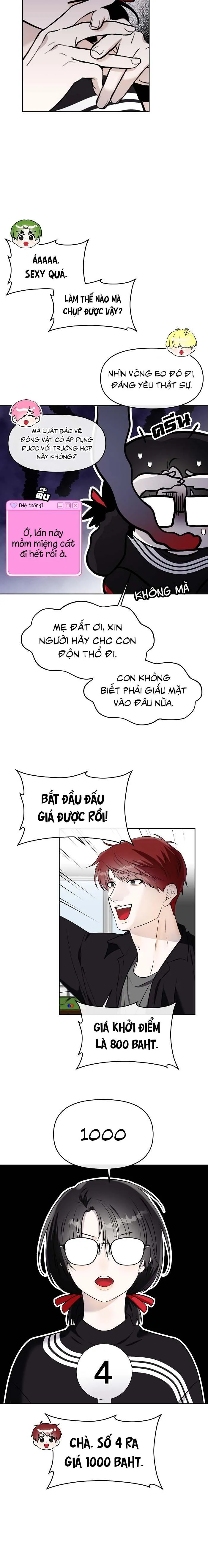 Làm sao đây? Tôi gặp phải quest công lược tổng tài tra nam rồi Chapter 20 Trang 16