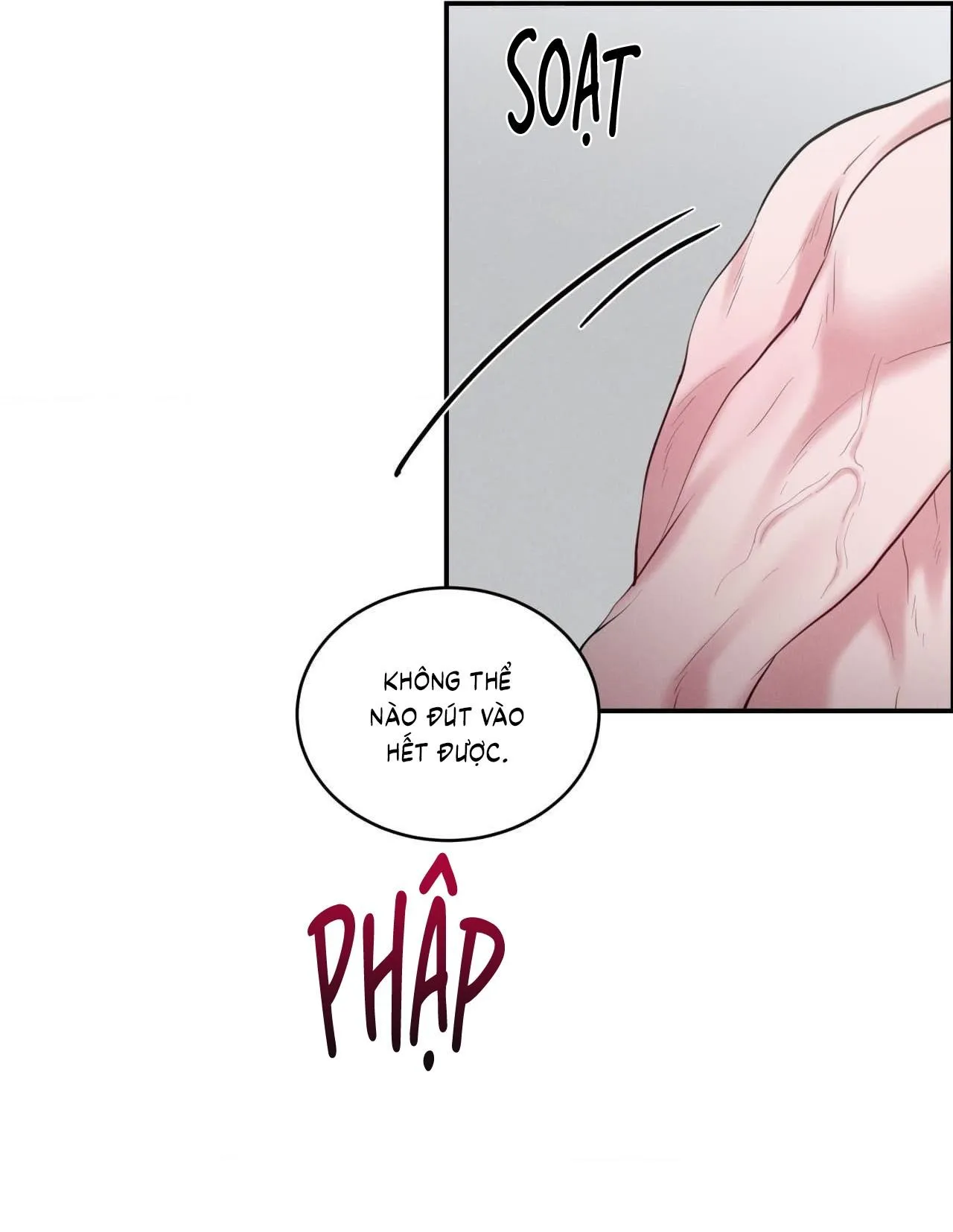 Làm Tình Cũng Cần Luyện Tập Nữa Sao?! Chapter 39 Trang 42