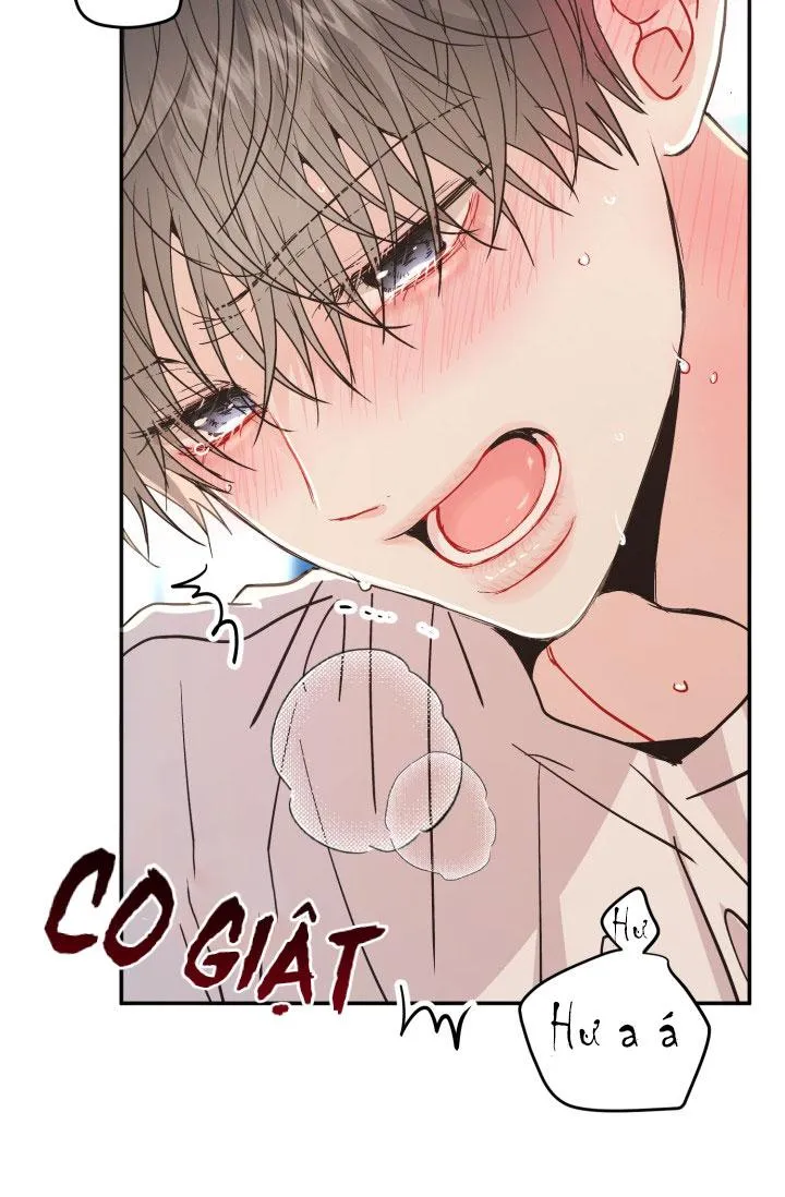 YÊU EM THÊM LẦN NỮA (LOVE ME AGAIN) Chapter 7 Trang 14