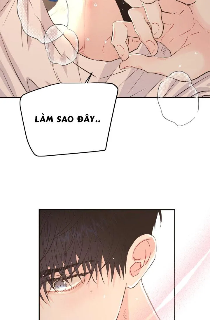 YÊU EM THÊM LẦN NỮA (LOVE ME AGAIN) Chapter 7 Trang 55