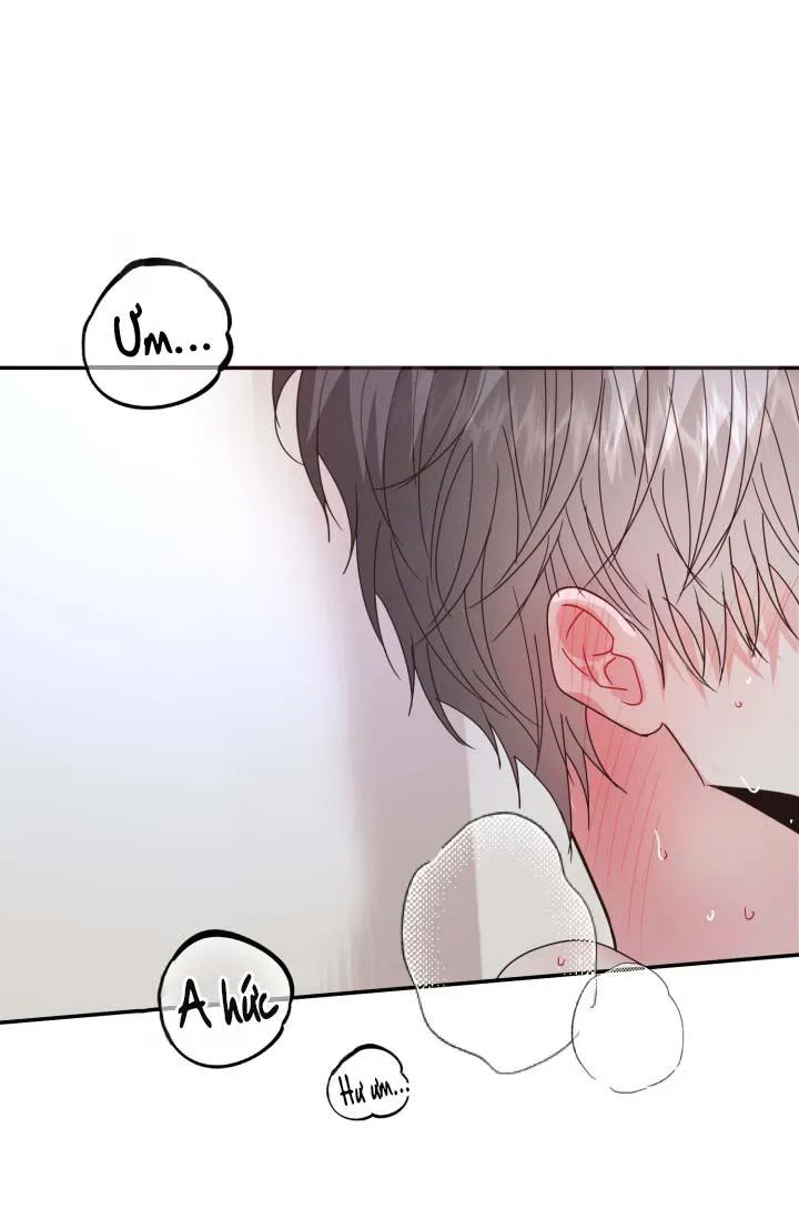 YÊU EM THÊM LẦN NỮA (LOVE ME AGAIN) Chapter 23 Trang 3