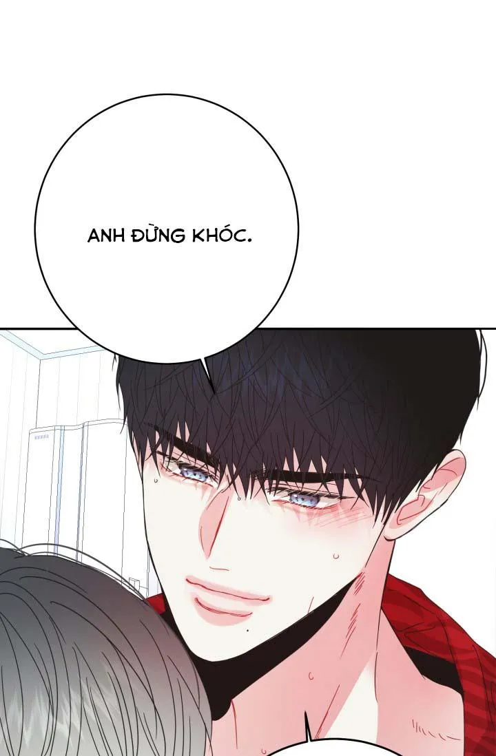 YÊU EM THÊM LẦN NỮA (LOVE ME AGAIN) Chapter 23 Trang 21