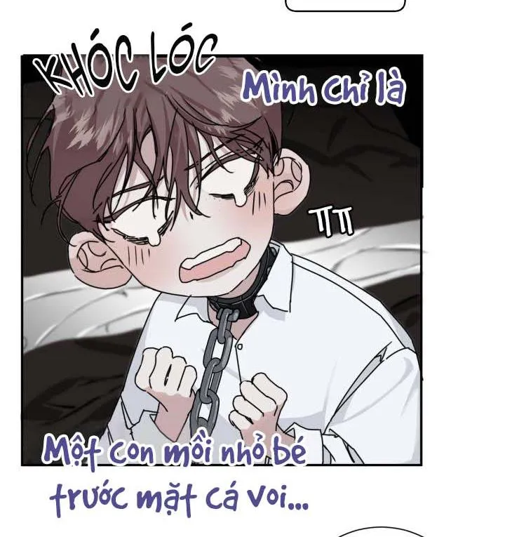 Lãng mạn một chiều Chapter 3 Trang 46