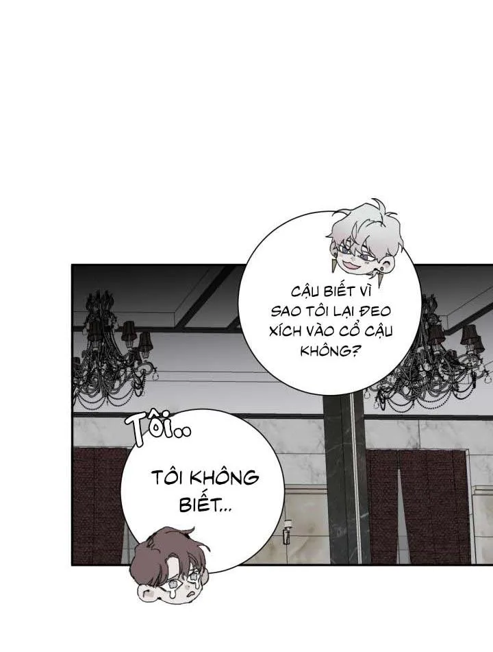 Lãng mạn một chiều Chapter 3 Trang 48
