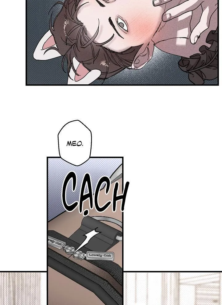 Lãng mạn một chiều Chapter 13 Trang 41