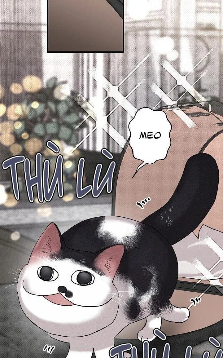 Lãng mạn một chiều Chapter 13 Trang 42