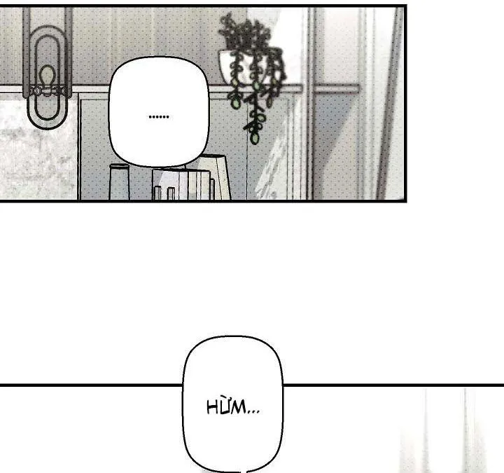 Lãng mạn một chiều Chapter 14 Trang 12