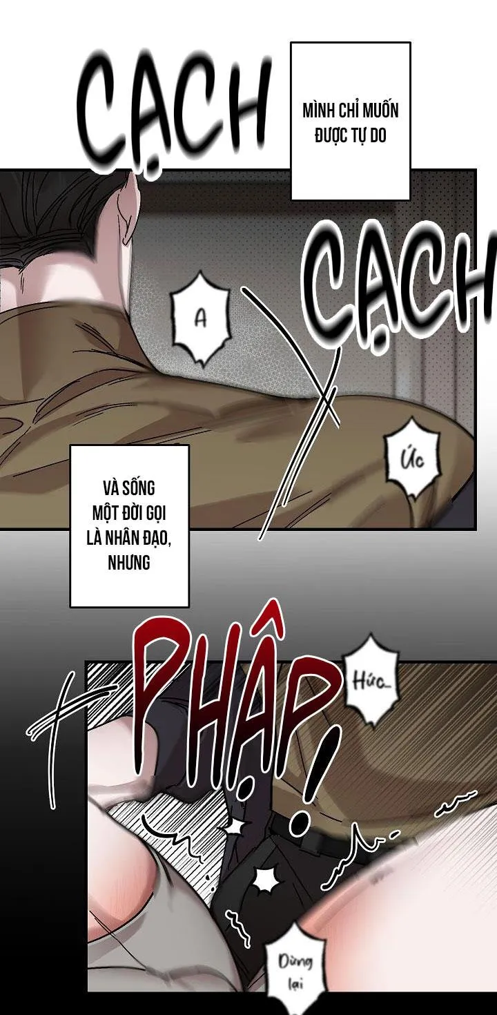 Lãng mạn một chiều Chapter 15 Trang 48