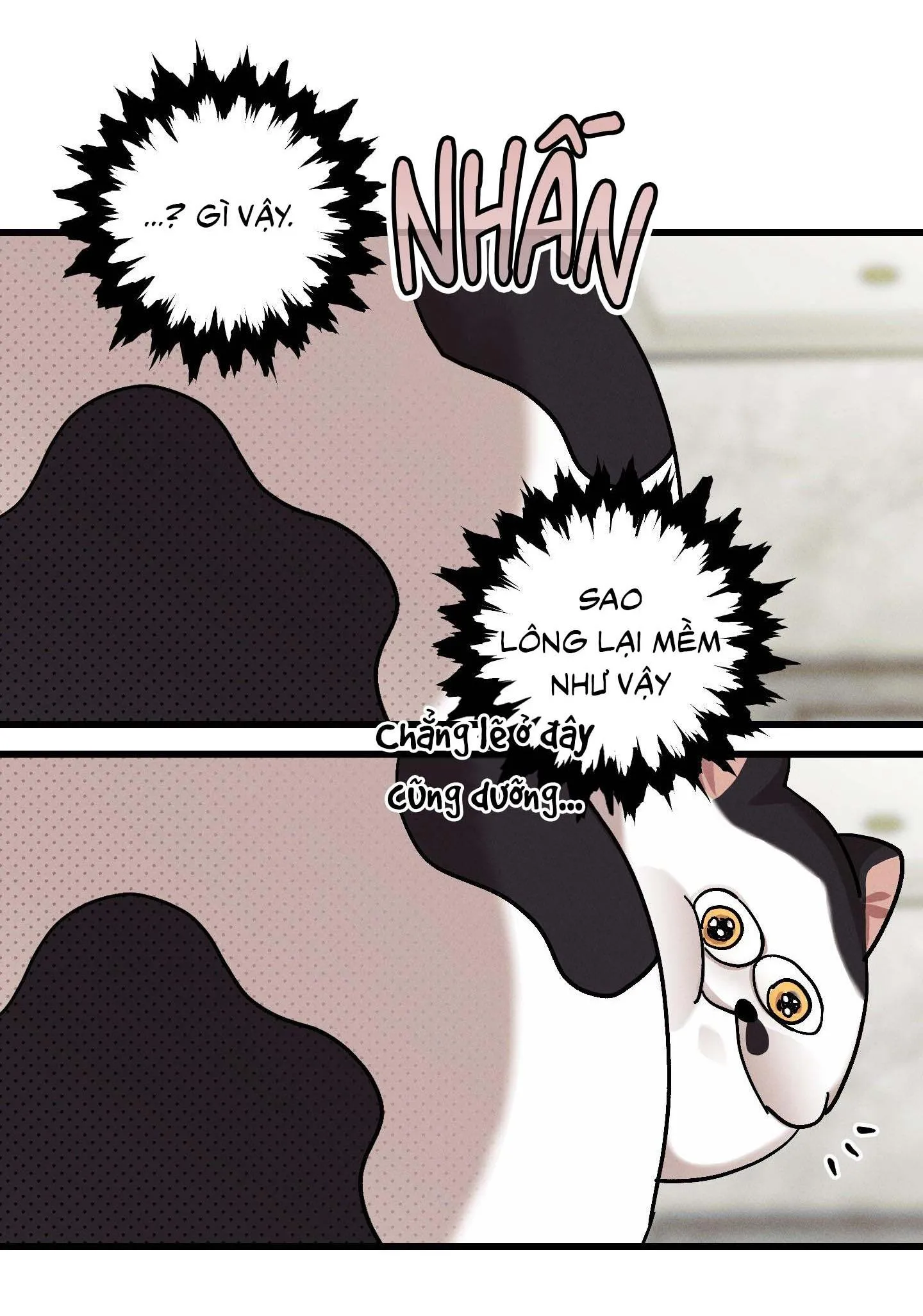 Lãng mạn một chiều Chapter 20 Trang 16