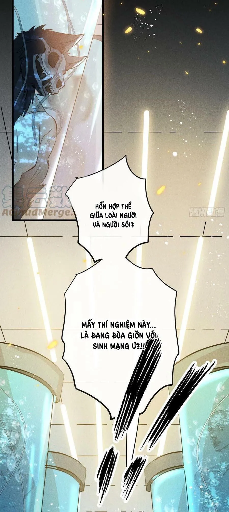 Lang Sói Thượng Khẩu Chapter 50 Trang 37