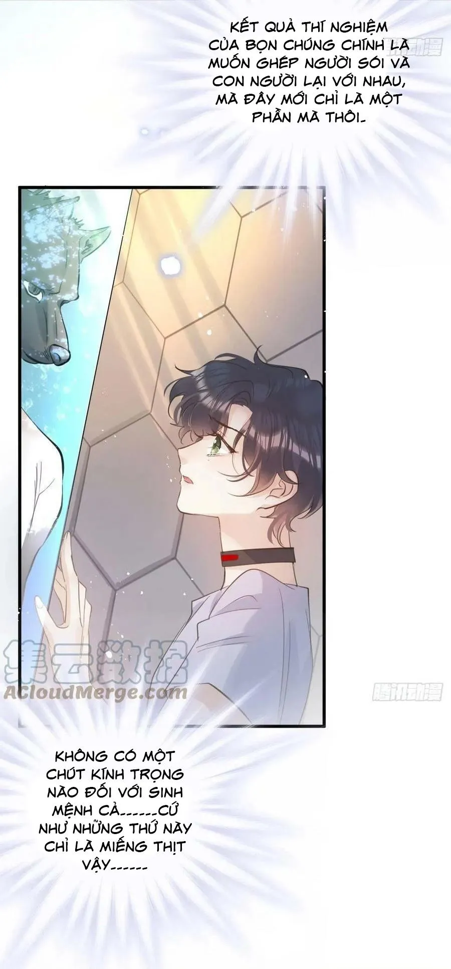 Lang Sói Thượng Khẩu Chapter 51 Trang 25