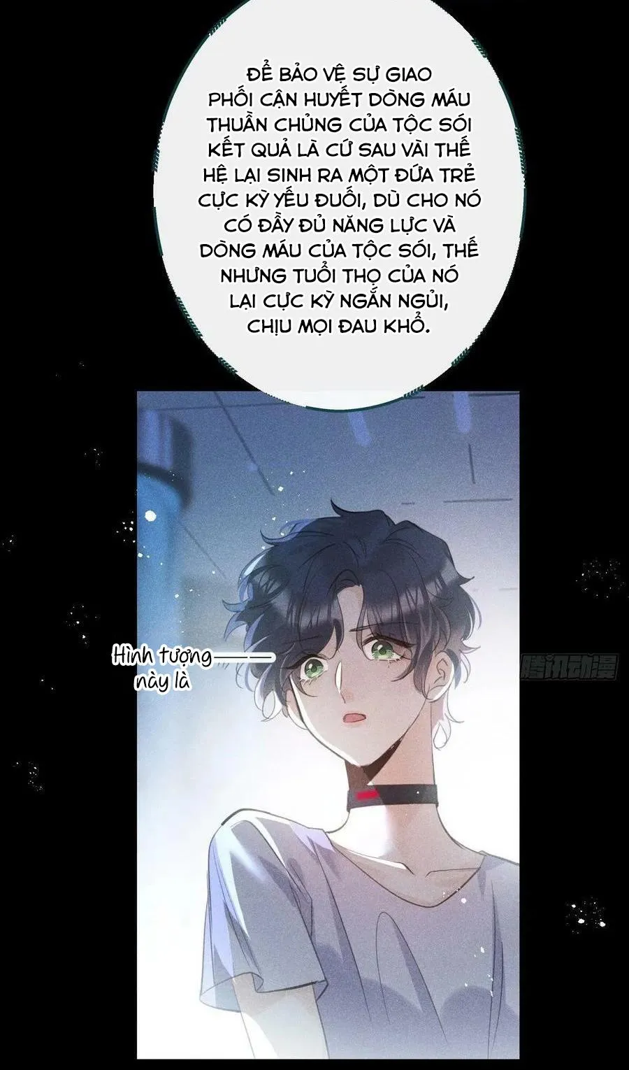 Lang Sói Thượng Khẩu Chapter 55 Trang 5