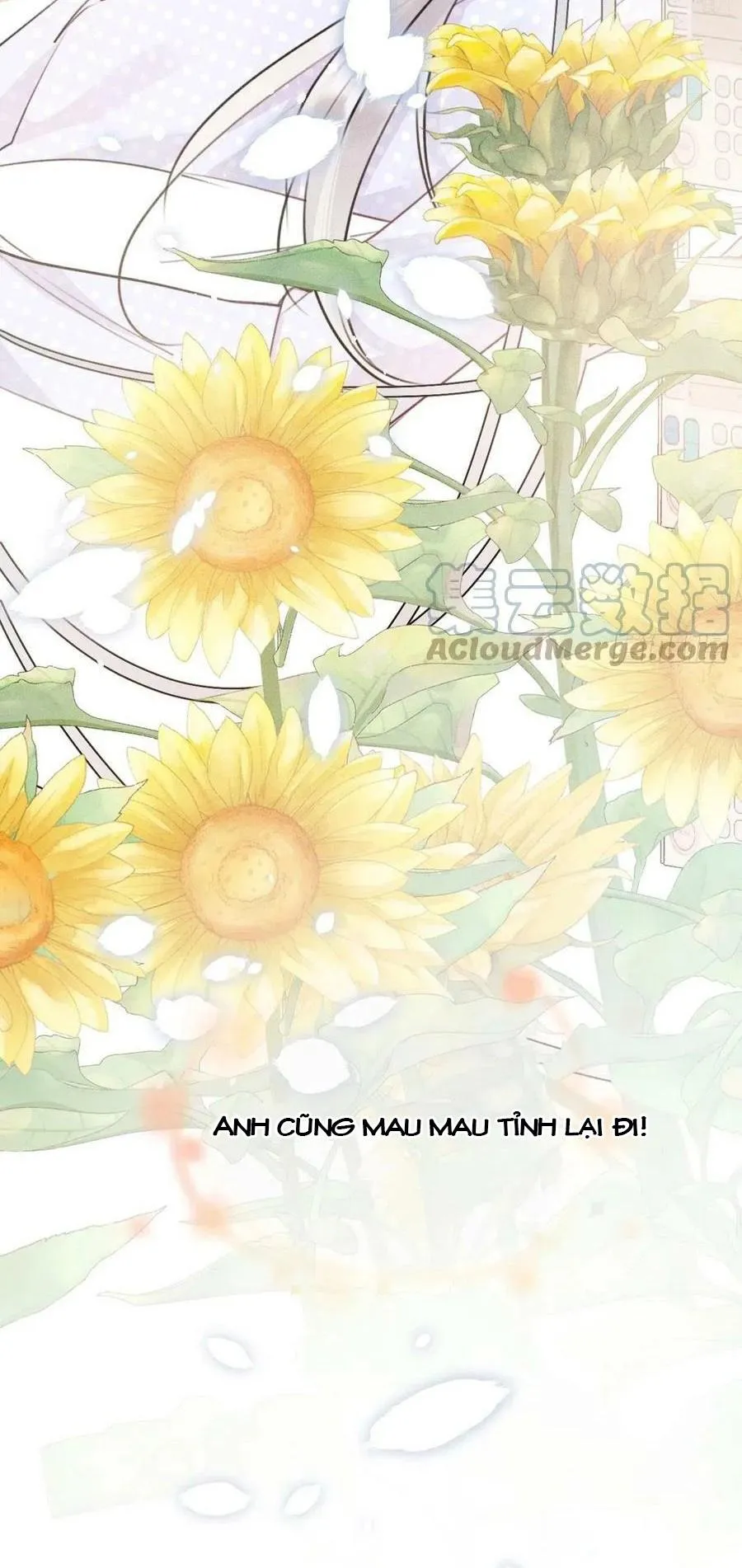 Lang Sói Thượng Khẩu Chapter 57 Trang 52