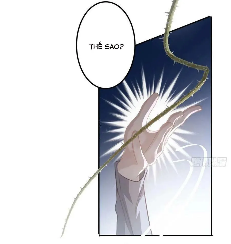 Lang Sói Thượng Khẩu Chapter 65 Trang 5