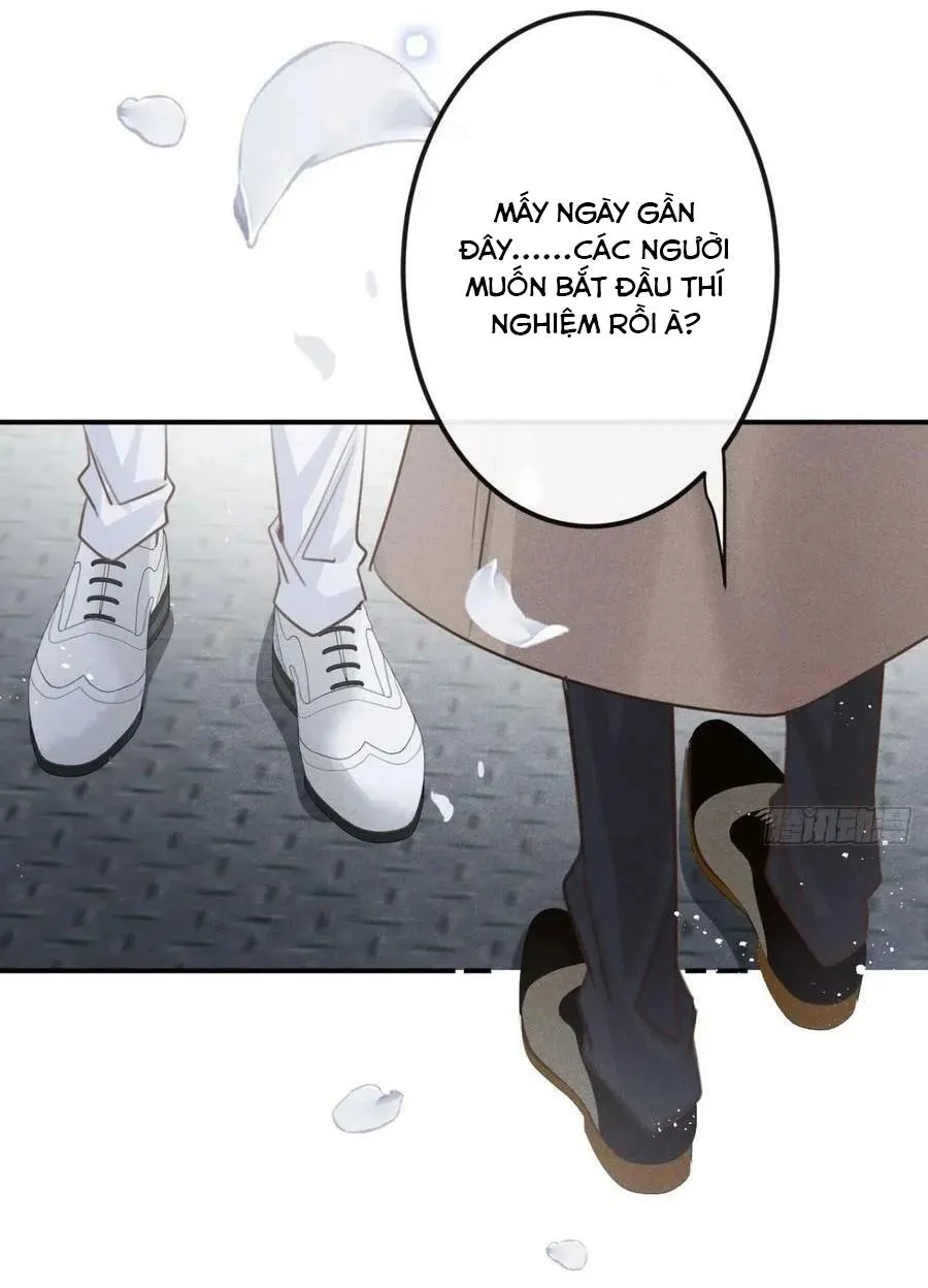 Lang Sói Thượng Khẩu Chapter 67 Trang 10