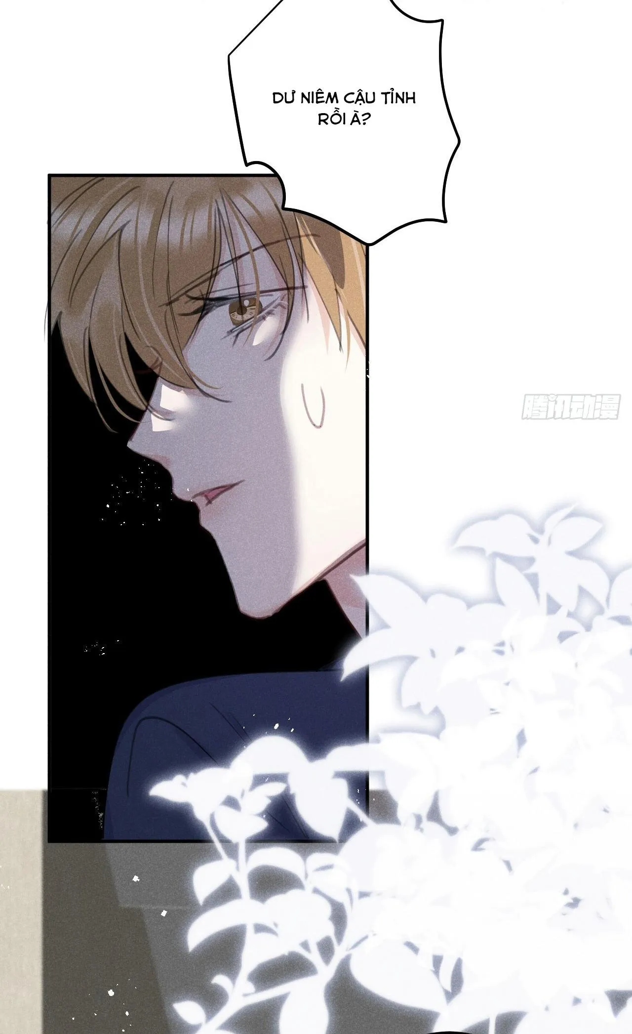 Lang Sói Thượng Khẩu Chapter 80 Trang 31