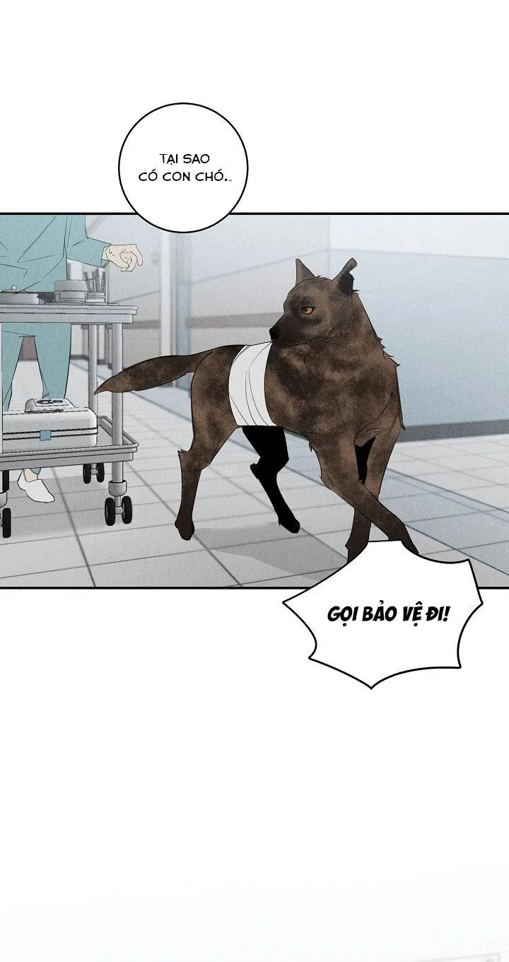 LANG THANG (WANDER OFF) Chapter 2 Trang 13