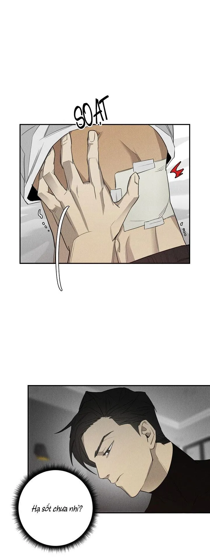 LANG THANG (WANDER OFF) Chapter 3 Trang 33