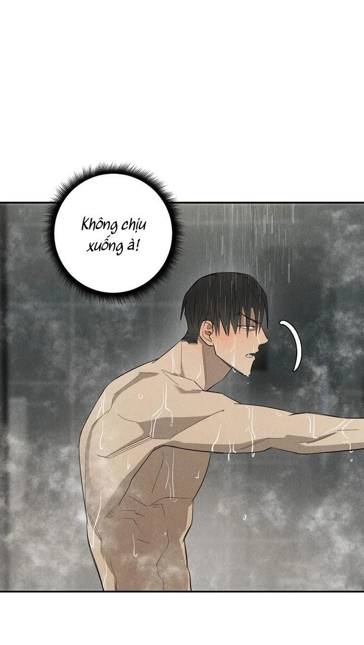 LANG THANG (WANDER OFF) Chapter 4 Trang 4