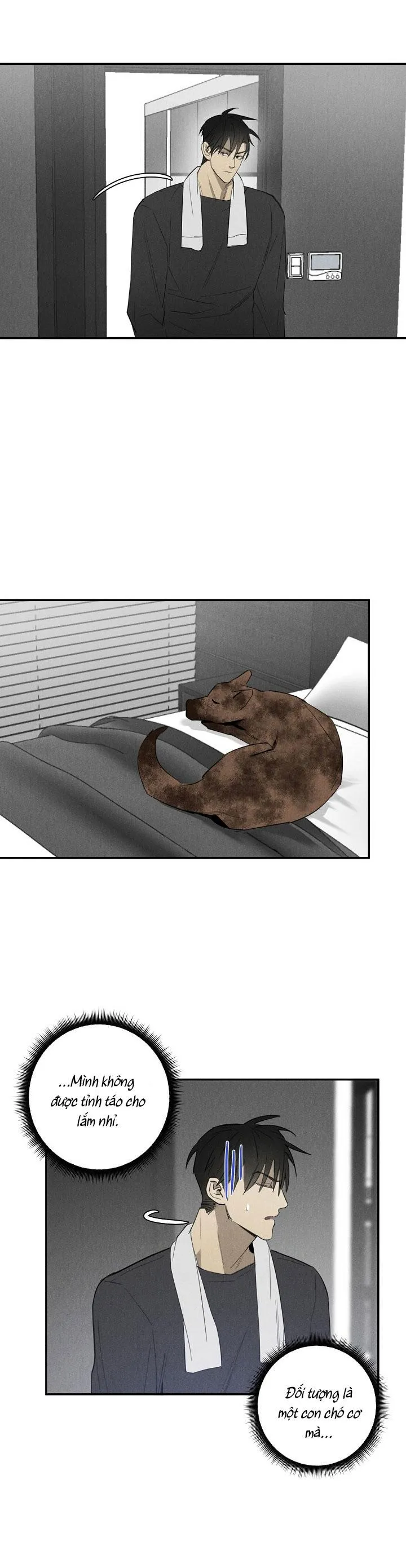 LANG THANG (WANDER OFF) Chapter 4 Trang 13
