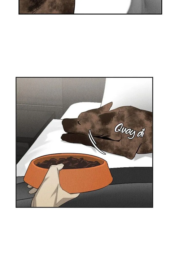 LANG THANG (WANDER OFF) Chapter 4 Trang 15