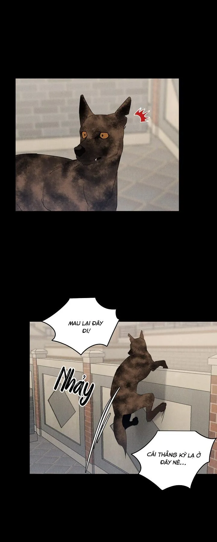 LANG THANG (WANDER OFF) Chapter 8 Trang 5