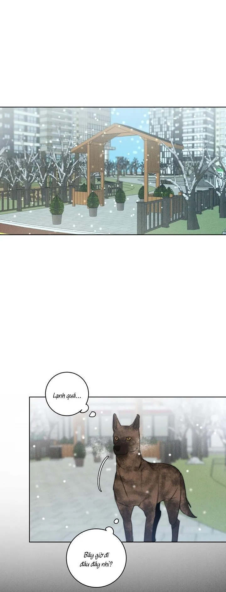 LANG THANG (WANDER OFF) Chapter 11 Trang 15